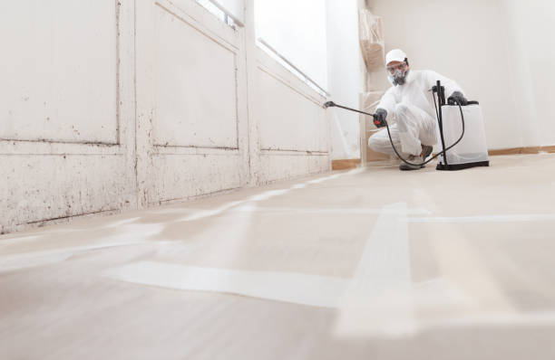 24/7 Emergency Mold Removal experts in Henderson, KY